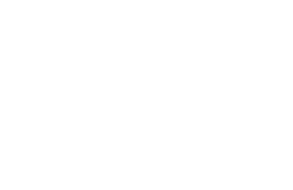 Executive Strategy Group white logo